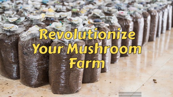 Revolutionize your mushroom farm